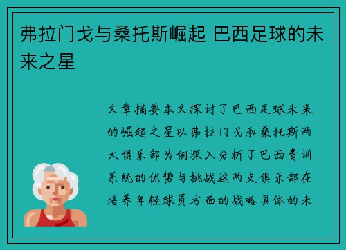 弗拉门戈与桑托斯崛起 巴西足球的未来之星